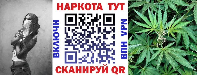 Где продают наркотики Светлогорск Альфа ПВП Гашиш