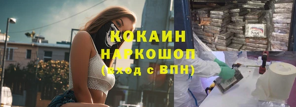спайс Арсеньев