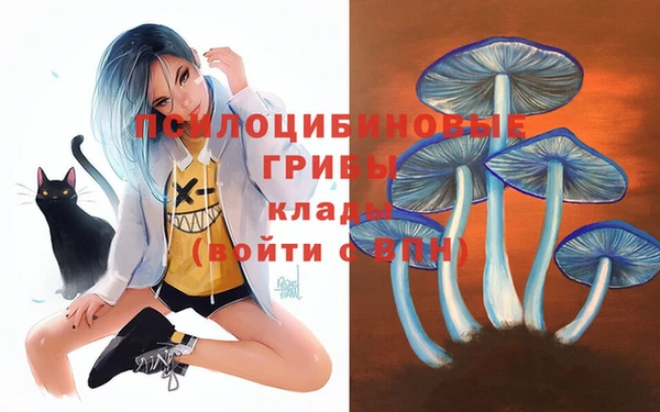 спиды Покровск