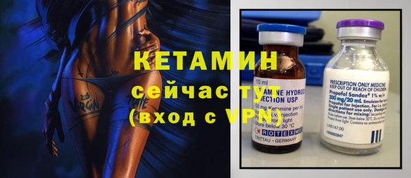 сатива Покачи