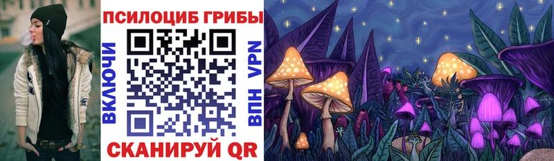 Галлюциногенные грибы Cubensis  Светлогорск 